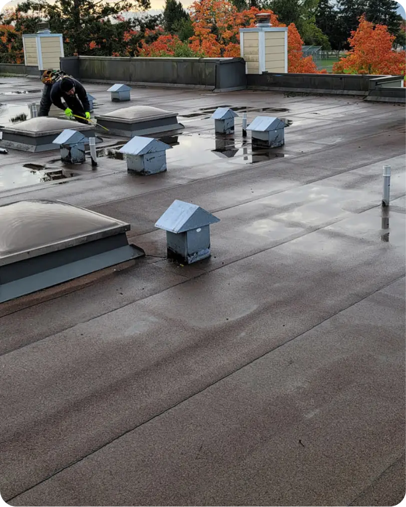 Flat Roofing Solutions Built for BC Weather